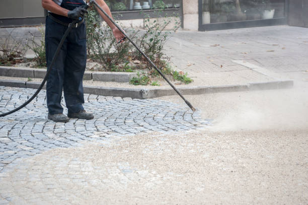 Best Roof Washing  in Brookville, IN