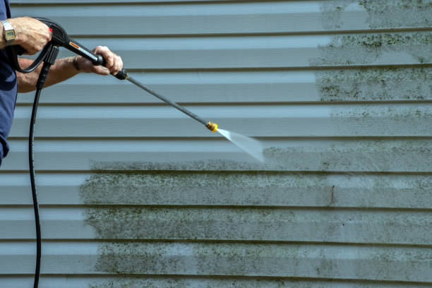 Professional Pressure Washing in Brookville, IN